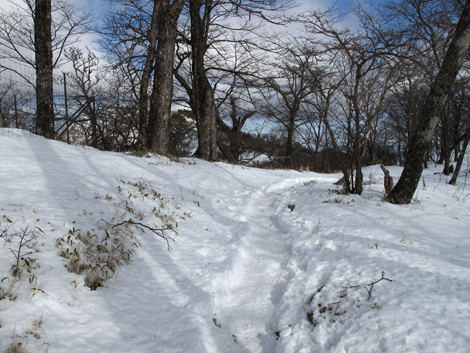 20170118hike (238)